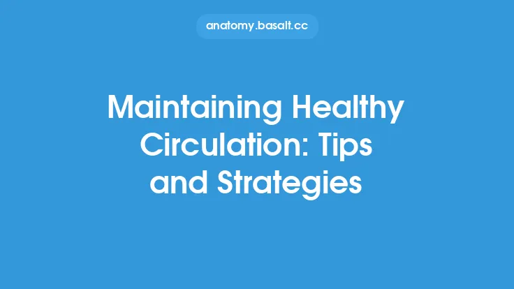 Maintaining Healthy Circulation: Tips and Strategies Thumbnail