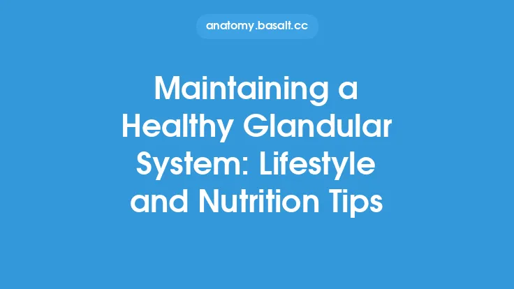 Maintaining a Healthy Glandular System: Lifestyle and Nutrition Tips Thumbnail