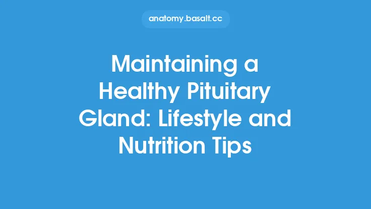Maintaining a Healthy Pituitary Gland: Lifestyle and Nutrition Tips Thumbnail