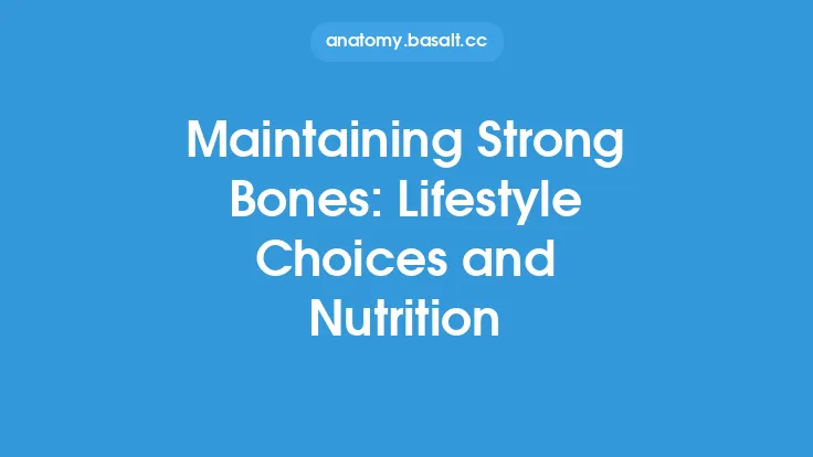 Maintaining Strong Bones: Lifestyle Choices and Nutrition Thumbnail