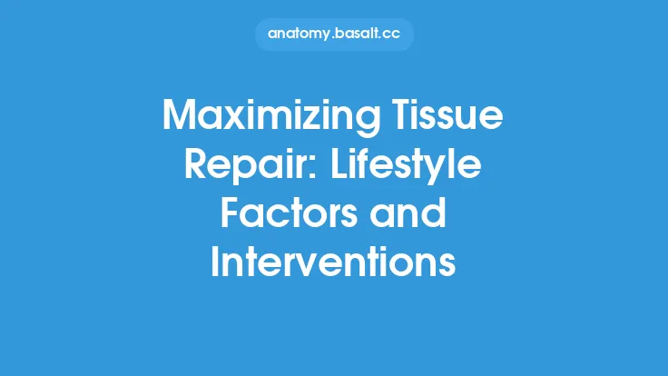 Maximizing Tissue Repair: Lifestyle Factors and Interventions Thumbnail