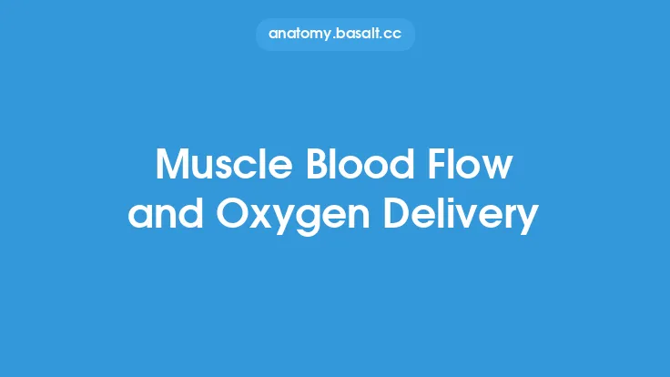 Muscle Blood Flow and Oxygen Delivery Thumbnail