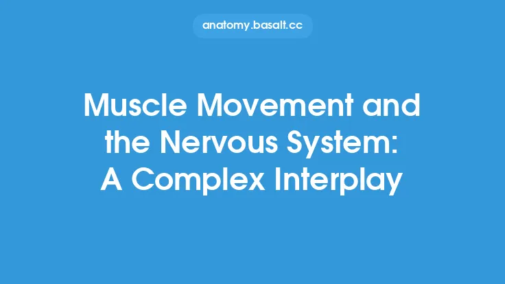 Muscle Movement and the Nervous System: A Complex Interplay Thumbnail