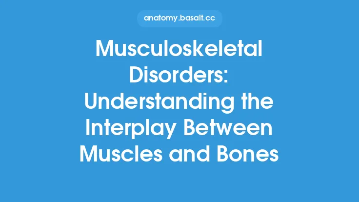 Musculoskeletal Disorders: Understanding the Interplay Between Muscles and Bones Thumbnail