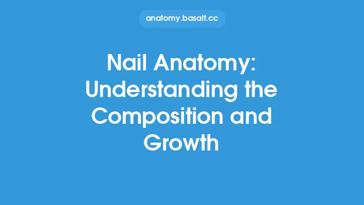 Nail Anatomy: Understanding the Composition and Growth Thumbnail