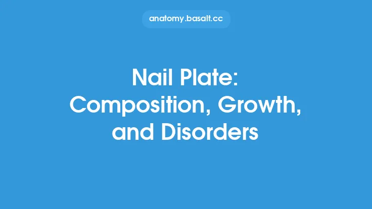 Nail Plate: Composition, Growth, and Disorders Thumbnail