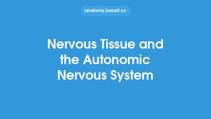 Nervous Tissue and the Autonomic Nervous System Thumbnail