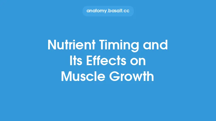 Nutrient Timing and Its Effects on Muscle Growth Thumbnail