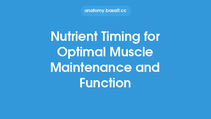 Nutrient Timing for Optimal Muscle Maintenance and Function Thumbnail