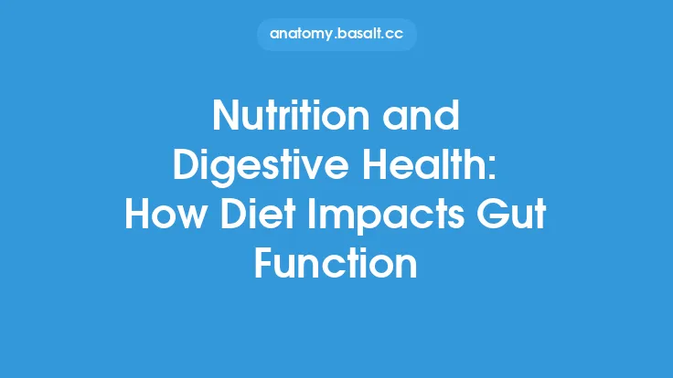 Nutrition and Digestive Health: How Diet Impacts Gut Function Thumbnail