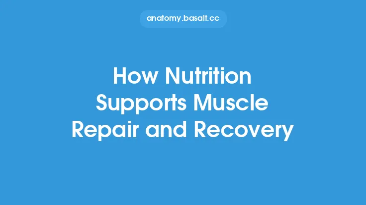 How Nutrition Supports Muscle Repair and Recovery Thumbnail