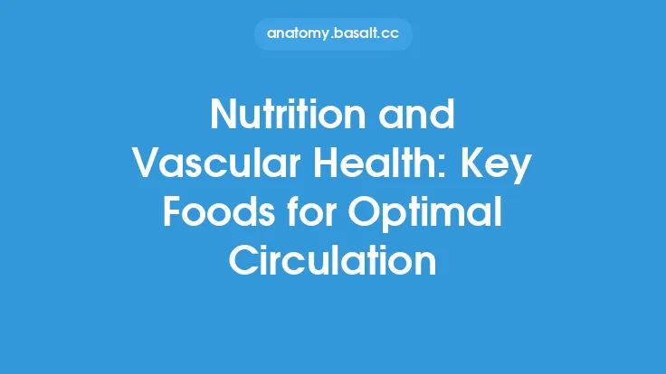 Nutrition and Vascular Health: Key Foods for Optimal Circulation Thumbnail