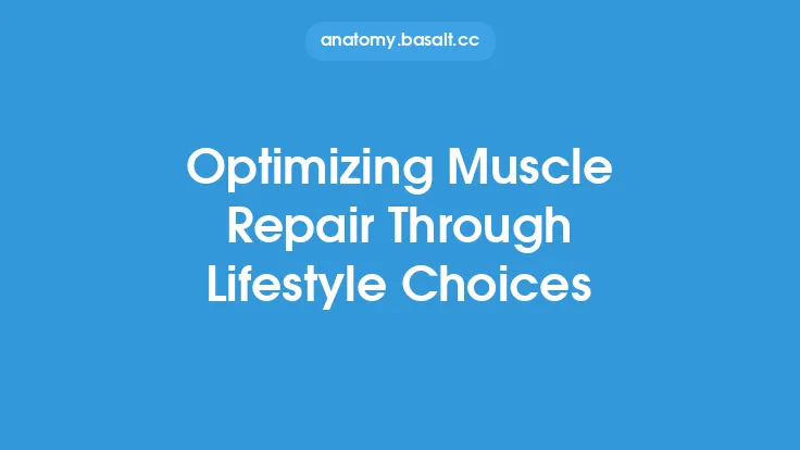 Optimizing Muscle Repair Through Lifestyle Choices Thumbnail