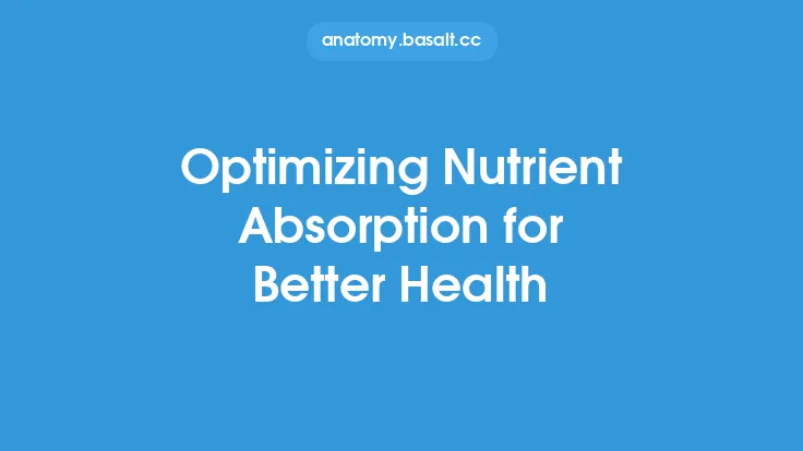 Optimizing Nutrient Absorption for Better Health Thumbnail