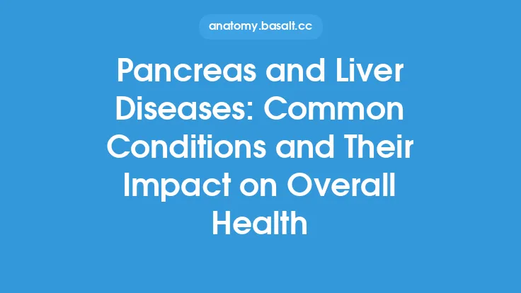 Pancreas and Liver Diseases: Common Conditions and Their Impact on Overall Health Thumbnail