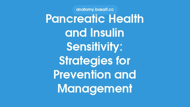 Pancreatic Health and Insulin Sensitivity: Strategies for Prevention and Management Thumbnail