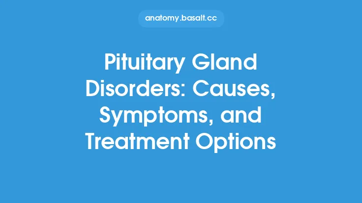 Pituitary Gland Disorders: Causes, Symptoms, and Treatment Options Thumbnail