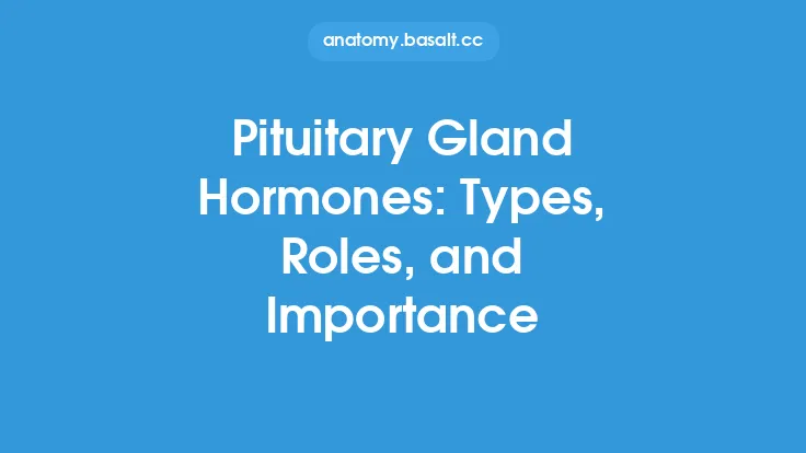 Pituitary Gland Hormones: Types, Roles, and Importance Thumbnail