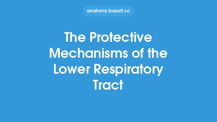 The Protective Mechanisms of the Lower Respiratory Tract Thumbnail