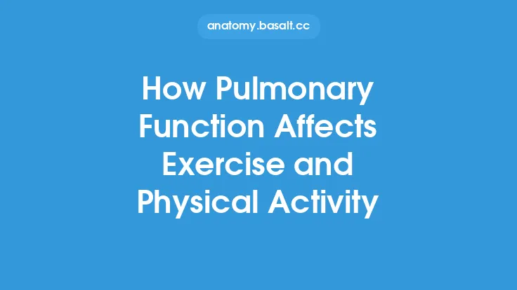 How Pulmonary Function Affects Exercise and Physical Activity Thumbnail