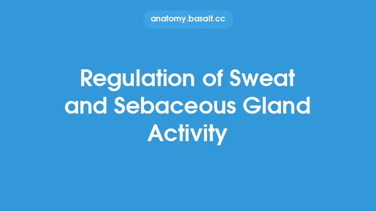Regulation of Sweat and Sebaceous Gland Activity Thumbnail