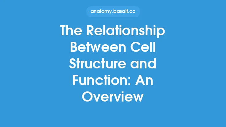 The Relationship Between Cell Structure and Function: An Overview Thumbnail