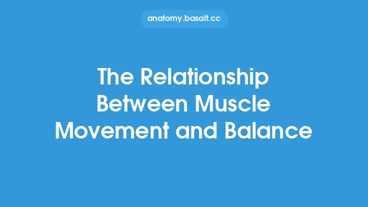 The Relationship Between Muscle Movement and Balance Thumbnail