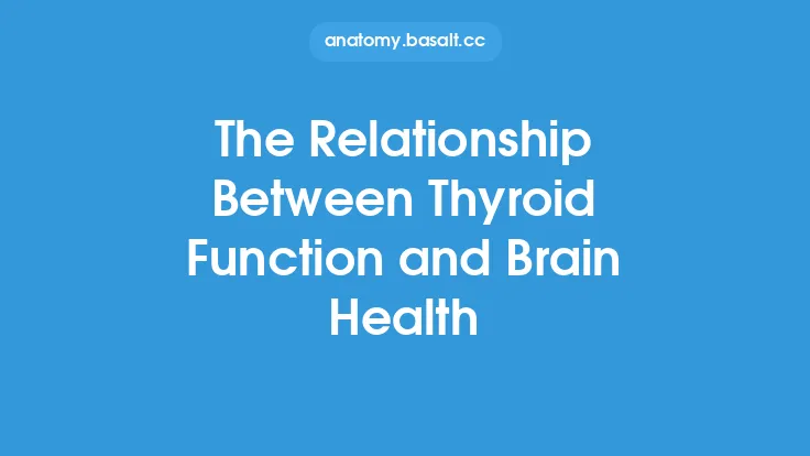 The Relationship Between Thyroid Function and Brain Health Thumbnail