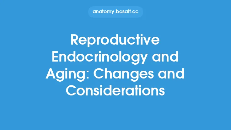 Reproductive Endocrinology and Aging: Changes and Considerations Thumbnail