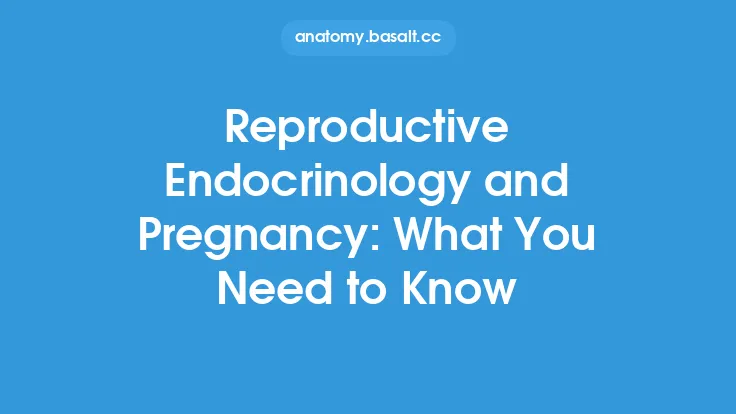 Reproductive Endocrinology and Pregnancy: What You Need to Know Thumbnail