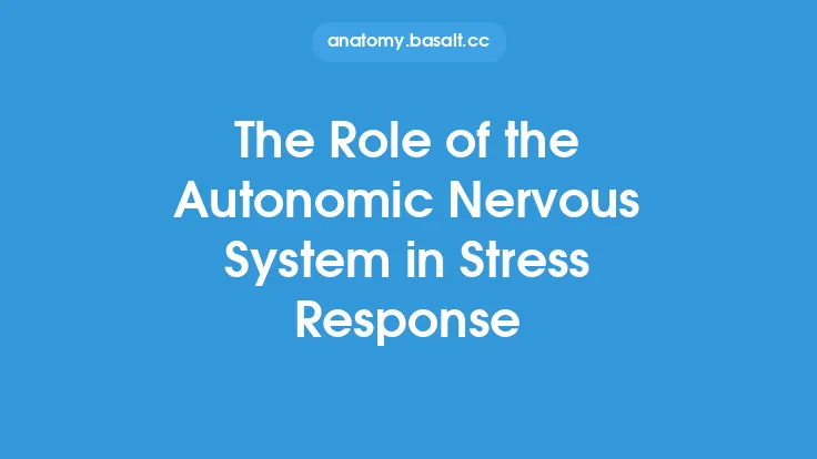 The Role of the Autonomic Nervous System in Stress Response Thumbnail