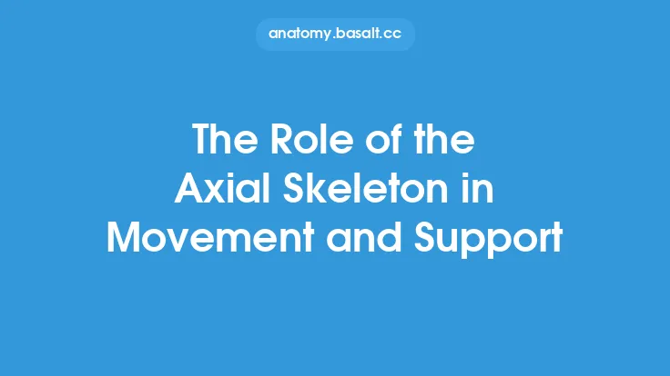 The Role of the Axial Skeleton in Movement and Support Thumbnail