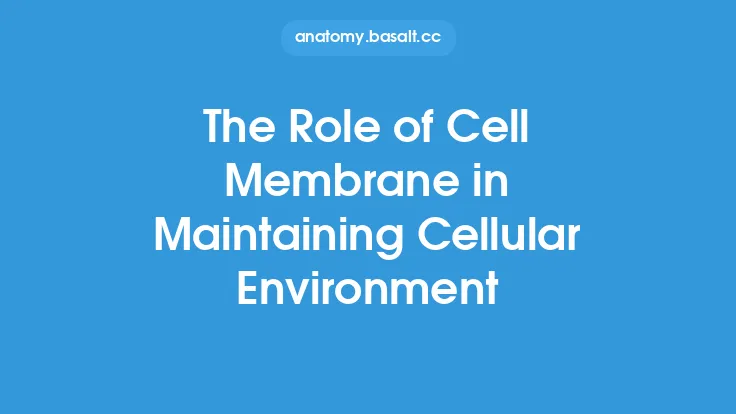 The Role of Cell Membrane in Maintaining Cellular Environment Thumbnail