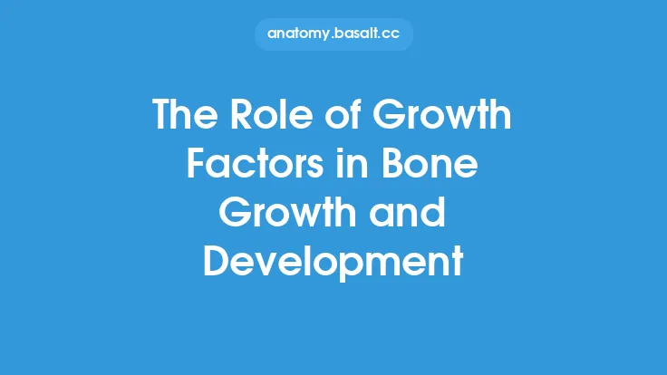 The Role of Growth Factors in Bone Growth and Development Thumbnail