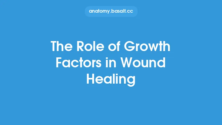 The Role of Growth Factors in Wound Healing Thumbnail