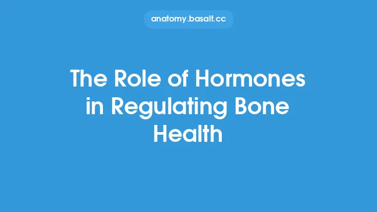 The Role of Hormones in Regulating Bone Health Thumbnail