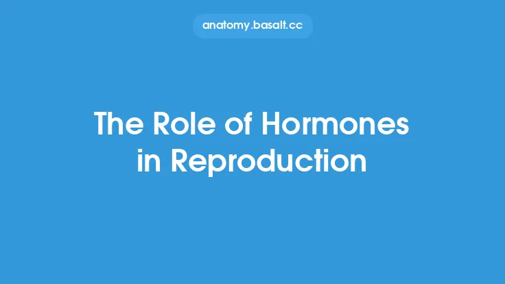 The Role of Hormones in Reproduction Thumbnail