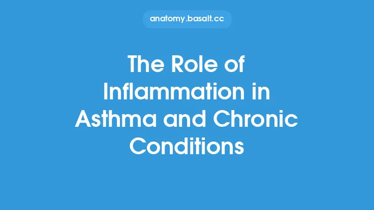 The Role of Inflammation in Asthma and Chronic Conditions Thumbnail