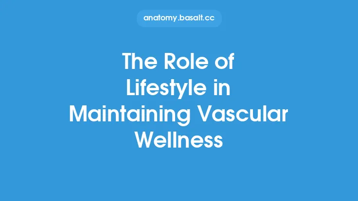 The Role of Lifestyle in Maintaining Vascular Wellness Thumbnail