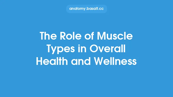 The Role of Muscle Types in Overall Health and Wellness Thumbnail