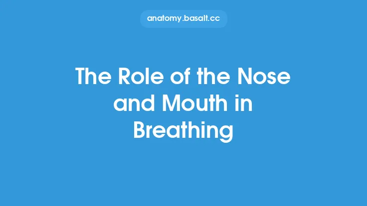 The Role of the Nose and Mouth in Breathing Thumbnail