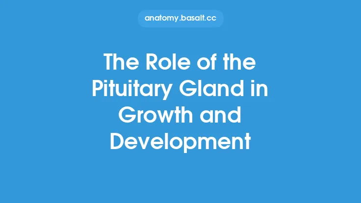 The Role of the Pituitary Gland in Growth and Development Thumbnail