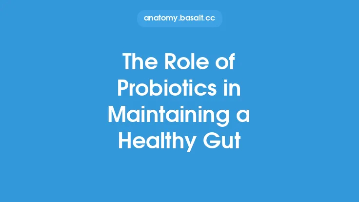 The Role of Probiotics in Maintaining a Healthy Gut Thumbnail