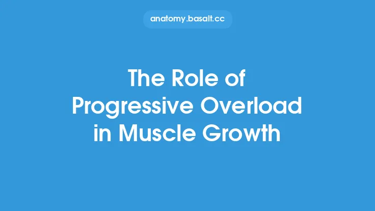 The Role of Progressive Overload in Muscle Growth Thumbnail