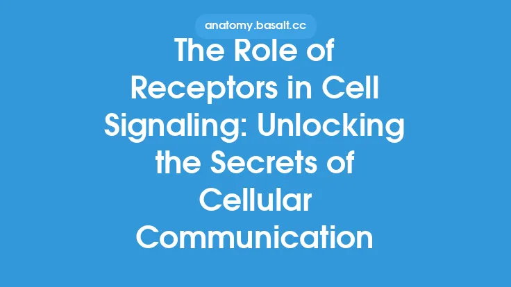 The Role of Receptors in Cell Signaling: Unlocking the Secrets of Cellular Communication Thumbnail