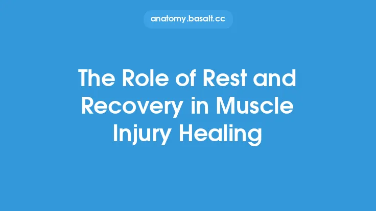 The Role of Rest and Recovery in Muscle Injury Healing Thumbnail