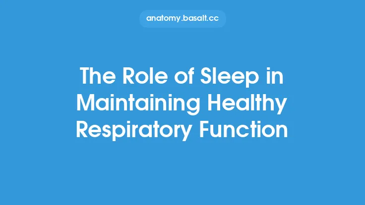 The Role of Sleep in Maintaining Healthy Respiratory Function Thumbnail