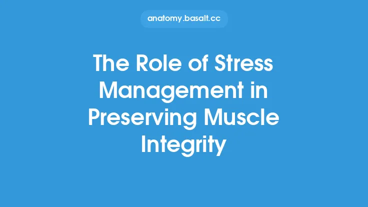 The Role of Stress Management in Preserving Muscle Integrity Thumbnail