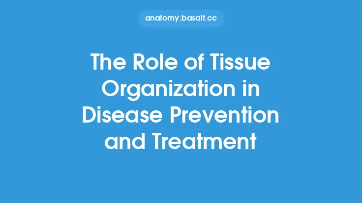 The Role of Tissue Organization in Disease Prevention and Treatment Thumbnail