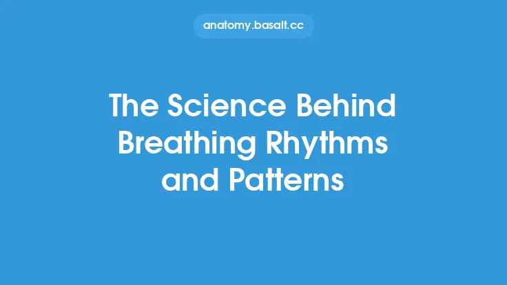 The Science Behind Breathing Rhythms and Patterns Thumbnail